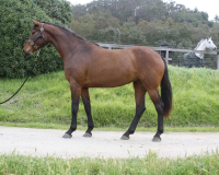 dchristina 4 1402